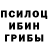Псилоцибиновые грибы GOLDEN TEACHER mAhAmmAd Uli