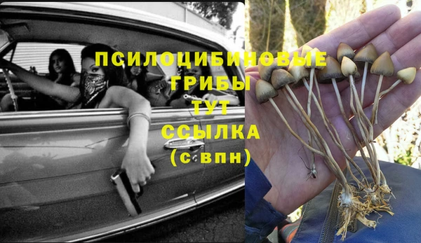 Альфа ПВП Карталы
