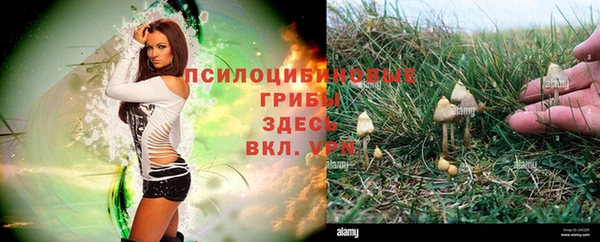 Альфа ПВП Карталы